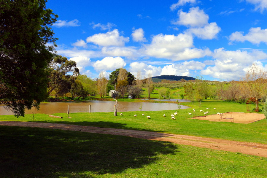 Things To Do In Heburn Springs - Lavandula